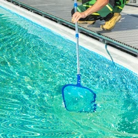 Thumbnail for How to Get Rid of Algae in a Pool Quickly